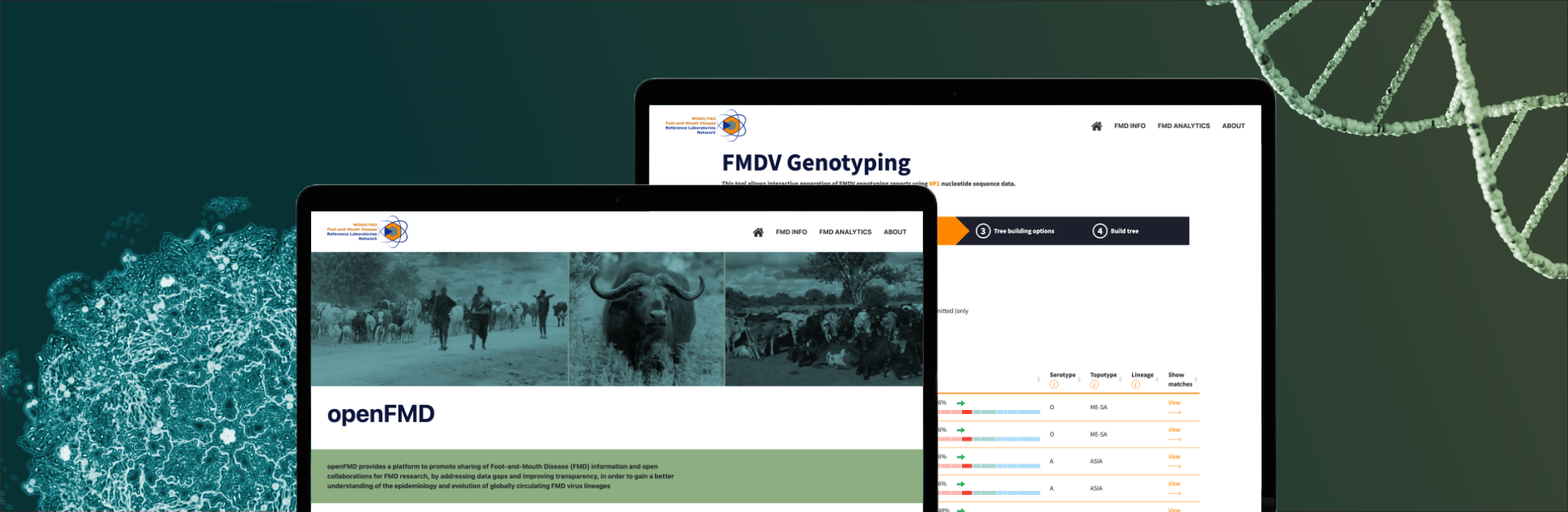 Decision-support for a global disease control effort  project banner image