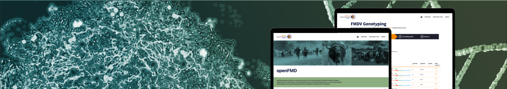 Link to Decision-support for a global disease control effort  project page
